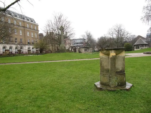 Garden bird bath holding standing water