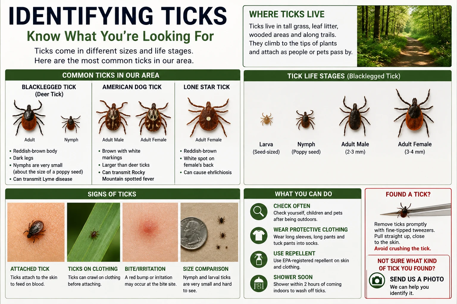 Chart identifying blacklegged (deer), American dog and lone star ticks, tick life stages from larva to adult, where ticks live, signs of ticks and prevention tips.