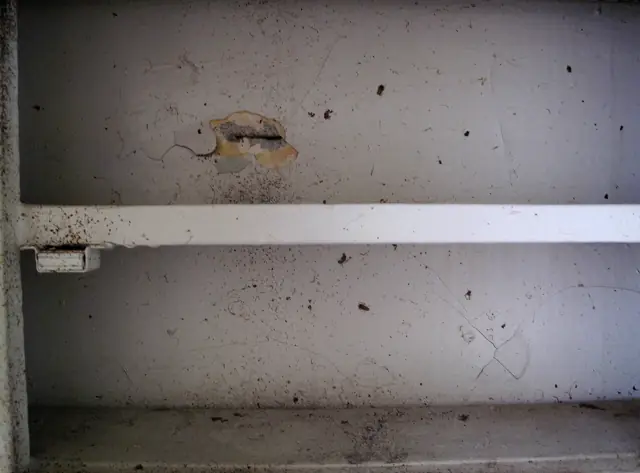Hole in a kitchen wall used by cockroaches